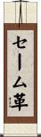 セーム革 Scroll