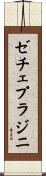 ゼチェ・プラジニ Scroll