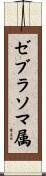 ゼブラソマ属 Scroll