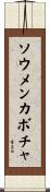ソウメンカボチャ Scroll