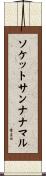 ソケットサンナナマル Scroll