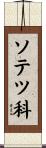 ソテツ科 Scroll