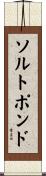 ソルトポンド Scroll