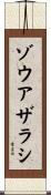 ゾウアザラシ Scroll
