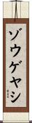 ゾウゲヤシ Scroll