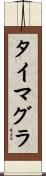 タイマグラ Scroll