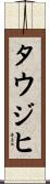 タウジヒ Scroll