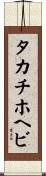 タカチホヘビ Scroll