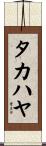 タカハヤ Scroll