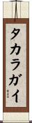 タカラガイ Scroll