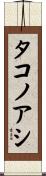 タコノアシ Scroll