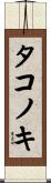 タコノキ Scroll