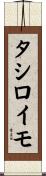 タシロイモ Scroll