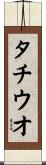 タチウオ Scroll