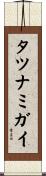 タツナミガイ Scroll
