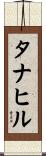 タナヒル Scroll