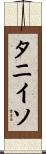 タニイソ Scroll