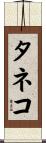 タネコ Scroll