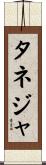 タネジャ Scroll