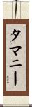 タマニー Scroll