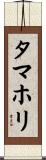 タマホリ Scroll