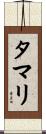 タマリ Scroll
