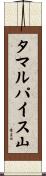 タマルパイス山 Scroll