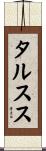 タルスス Scroll