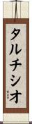 タルチシオ Scroll