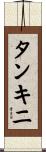 タンキニ Scroll