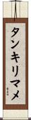 タンキリマメ Scroll
