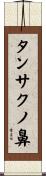 タンサクノ鼻 Scroll