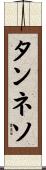 タンネソ Scroll