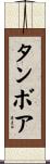 Tambore Scroll