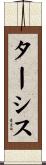 ターシス Scroll