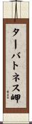 ターバトネス岬 Scroll