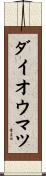 ダイオウマツ Scroll