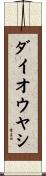 ダイオウヤシ Scroll