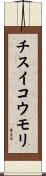 チスイコウモリ Scroll