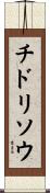 チドリソウ Scroll