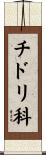 チドリ科 Scroll