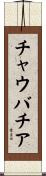チャウバチア Scroll