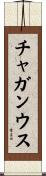 チャガンウス Scroll
