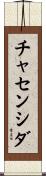 チャセンシダ Scroll