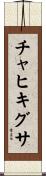 チャヒキグサ Scroll