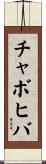 チャボヒバ Scroll