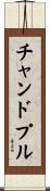 チャンドプル Scroll