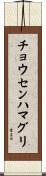 チョウセンハマグリ Scroll