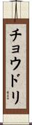 チョウドリ Scroll