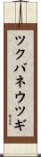 ツクバネウツギ Scroll